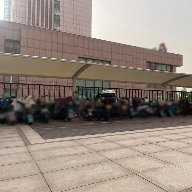 隆林膜结构电动车棚